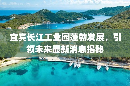 宜宾长江工业园蓬勃发展，引领未来最新消息揭秘