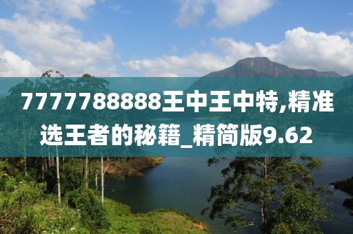 7777788888王中王中特,精准选王者的秘籍_精简版9.62