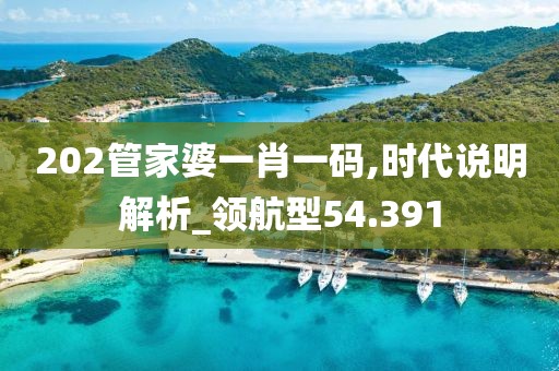 202管家婆一肖一码,时代说明解析_领航型54.391