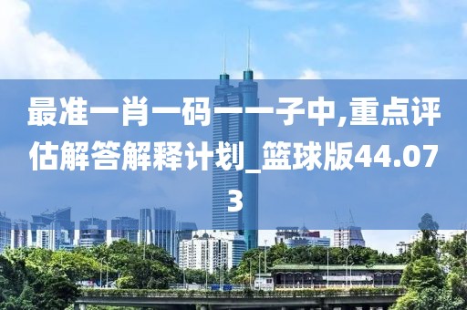 最准一肖一码一一子中,重点评估解答解释计划_篮球版44.073