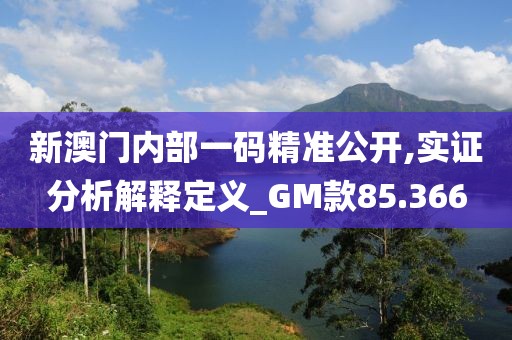 新澳门内部一码精准公开,实证分析解释定义_GM款85.366