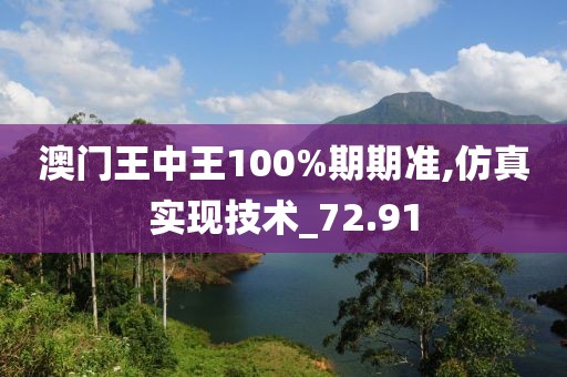 澳门王中王100%期期准,仿真实现技术_72.91