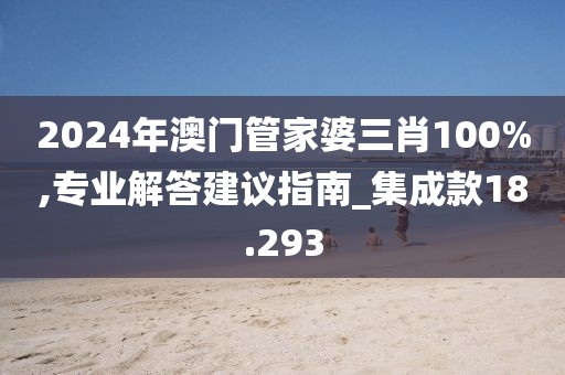 2024年澳门管家婆三肖100%,专业解答建议指南_集成款18.293