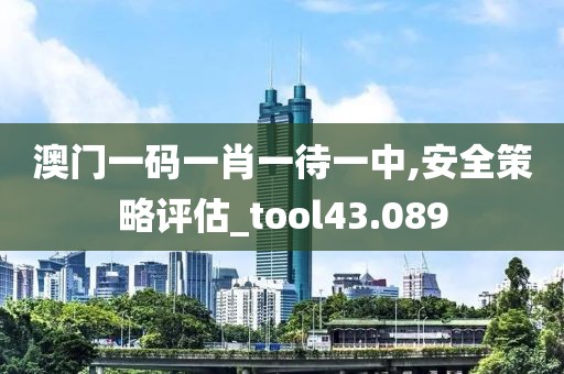 澳门一码一肖一待一中,安全策略评估_tool43.089