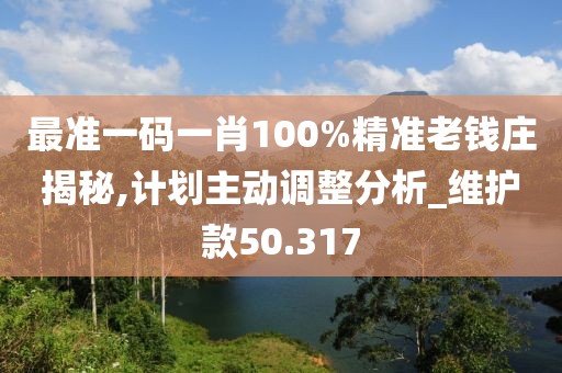 最准一码一肖100%精准老钱庄揭秘,计划主动调整分析_维护款50.317