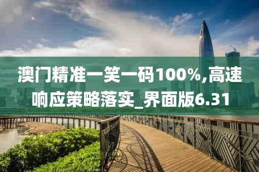 澳门精准一笑一码100%,高速响应策略落实_界面版6.31