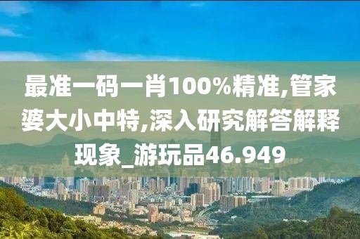 最准一码一肖100%精准,管家婆大小中特,深入研究解答解释现象_游玩品46.949