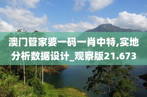 澳门管家婆一码一肖中特,实地分析数据设计_观察版21.673