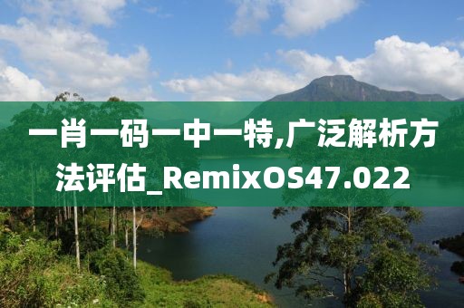 一肖一码一中一特,广泛解析方法评估_RemixOS47.022