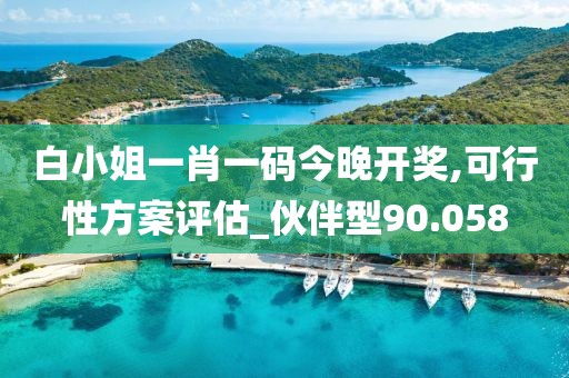 白小姐一肖一码今晚开奖,可行性方案评估_伙伴型90.058
