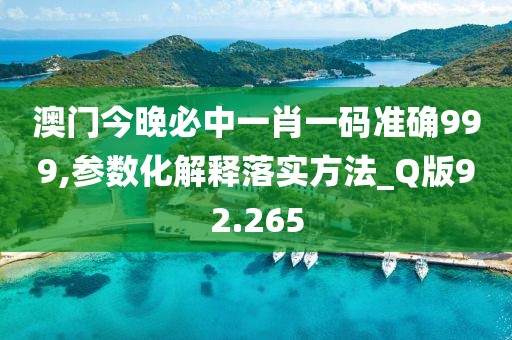 澳门今晚必中一肖一码准确999,参数化解释落实方法_Q版92.265