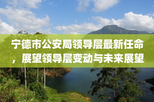宁德市公安局领导层最新任命，展望领导层变动与未来展望
