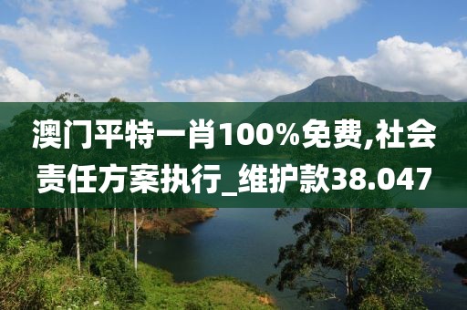 澳门平特一肖100%免费,社会责任方案执行_维护款38.047