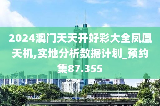 2024澳门天天开好彩大全凤凰天机,实地分析数据计划_预约集87.355