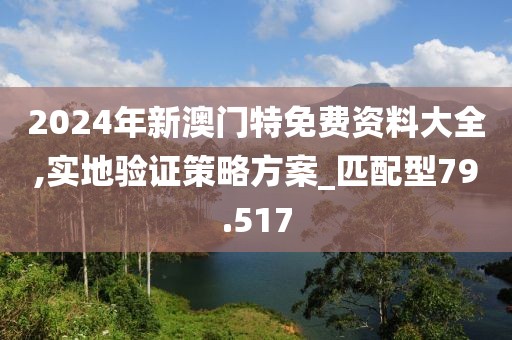 2024年新澳门特免费资料大全,实地验证策略方案_匹配型79.517