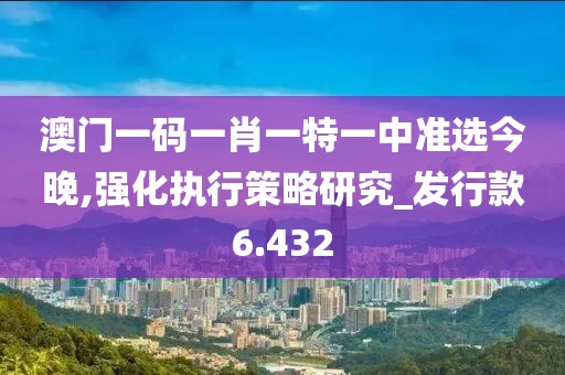 澳门一码一肖一特一中准选今晚,强化执行策略研究_发行款6.432
