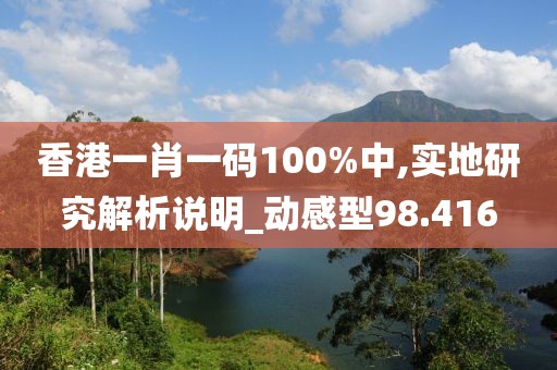 香港一肖一码100%中,实地研究解析说明_动感型98.416