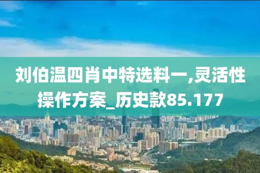 刘伯温四肖中特选料一,灵活性操作方案_历史款85.177
