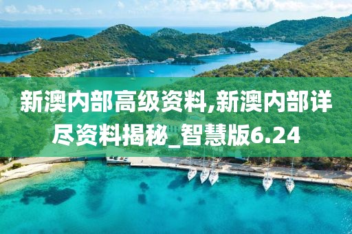 新澳内部高级资料,新澳内部详尽资料揭秘_智慧版6.24