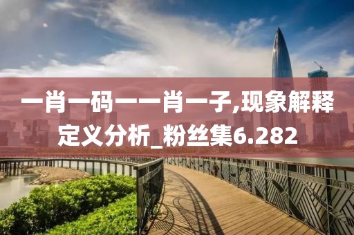 一肖一码一一肖一子,现象解释定义分析_粉丝集6.282