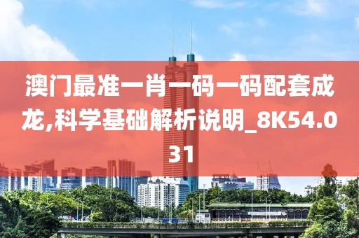 澳门最准一肖一码一码配套成龙,科学基础解析说明_8K54.031