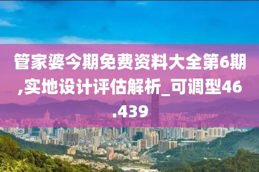 管家婆今期免费资料大全第6期,实地设计评估解析_可调型46.439