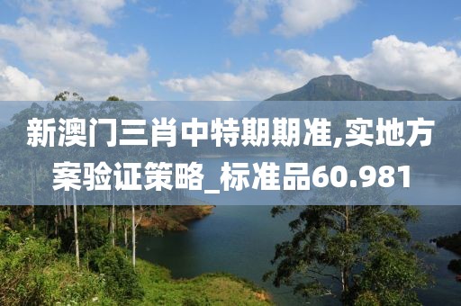 新澳门三肖中特期期准,实地方案验证策略_标准品60.981