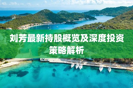 刘芳最新持股概览及深度投资策略解析
