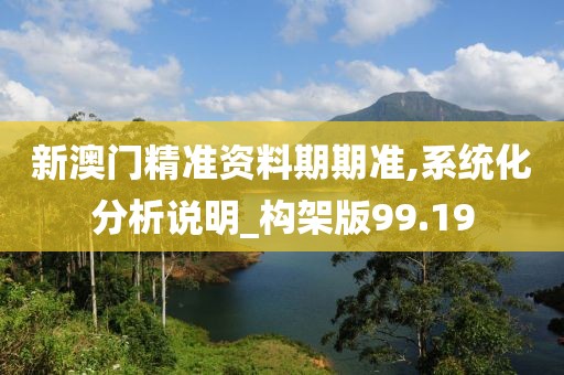 新澳门精准资料期期准,系统化分析说明_构架版99.19