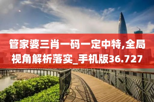 管家婆三肖一码一定中特,全局视角解析落实_手机版36.727