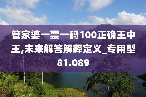 管家婆一票一码100正确王中王,未来解答解释定义_专用型81.089
