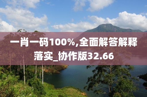 一肖一码100%,全面解答解释落实_协作版32.66