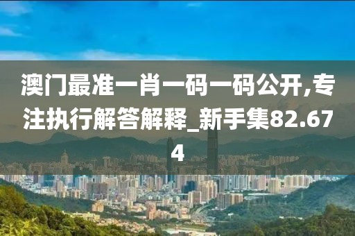 澳门最准一肖一码一码公开,专注执行解答解释_新手集82.674