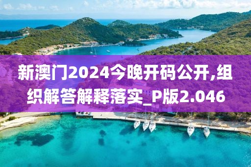 新澳门2024今晚开码公开,组织解答解释落实_P版2.046