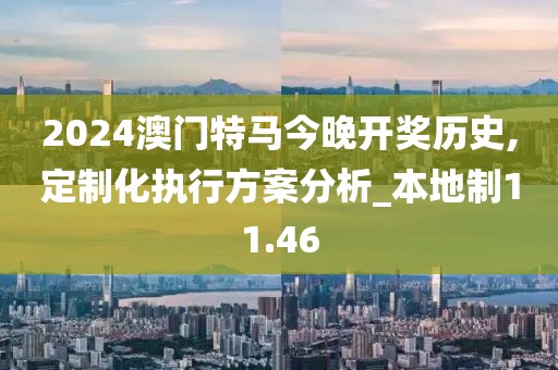 2024澳门特马今晚开奖历史,定制化执行方案分析_本地制11.46