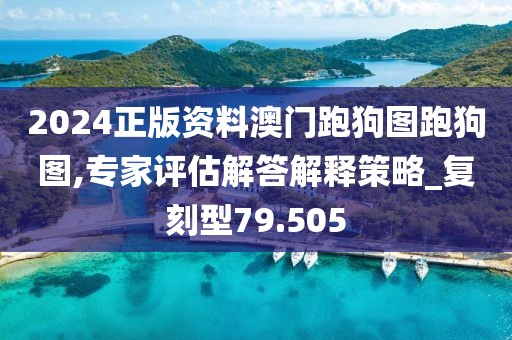 2024正版资料澳门跑狗图跑狗图,专家评估解答解释策略_复刻型79.505