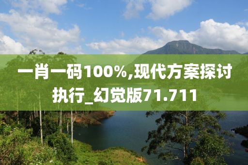 一肖一码100%,现代方案探讨执行_幻觉版71.711
