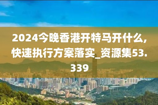 2024今晚香港开特马开什么,快速执行方案落实_资源集53.339