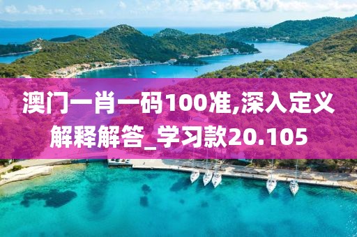 澳门一肖一码100准,深入定义解释解答_学习款20.105