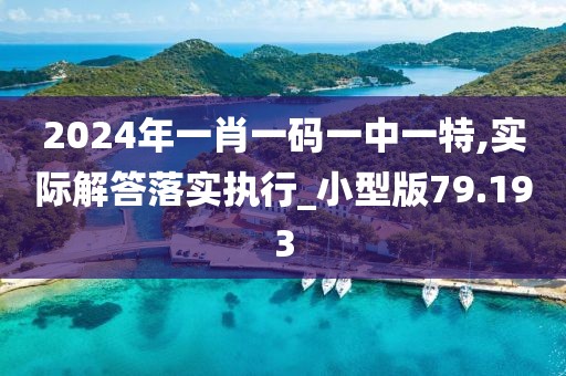 2024年一肖一码一中一特,实际解答落实执行_小型版79.193