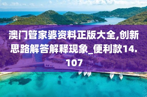 澳门管家婆资料正版大全,创新思路解答解释现象_便利款14.107