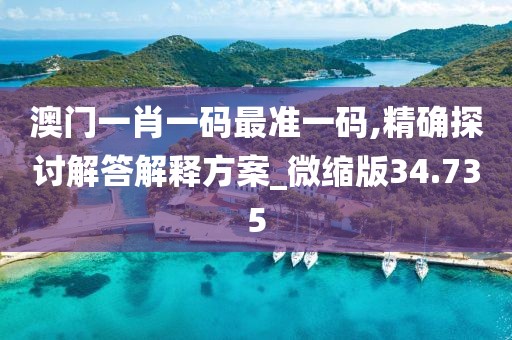澳门一肖一码最准一码,精确探讨解答解释方案_微缩版34.735