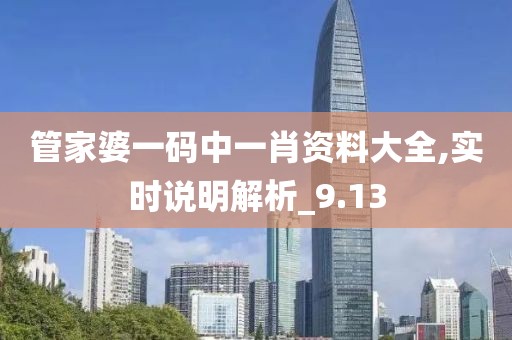 管家婆一码中一肖资料大全,实时说明解析_9.13