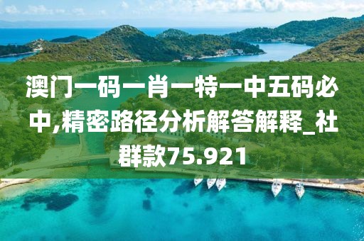 澳门一码一肖一特一中五码必中,精密路径分析解答解释_社群款75.921