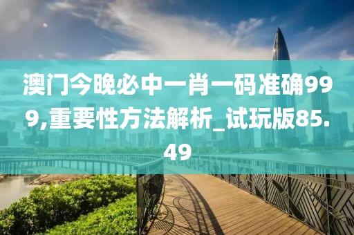澳门今晚必中一肖一码准确999,重要性方法解析_试玩版85.49