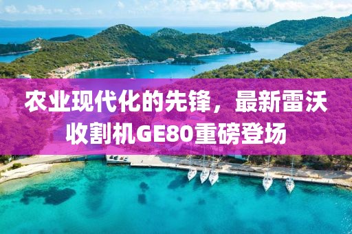 农业现代化的先锋，最新雷沃收割机GE80重磅登场