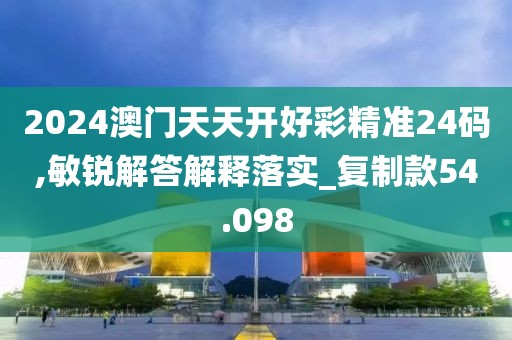 2024澳门天天开好彩精准24码,敏锐解答解释落实_复制款54.098