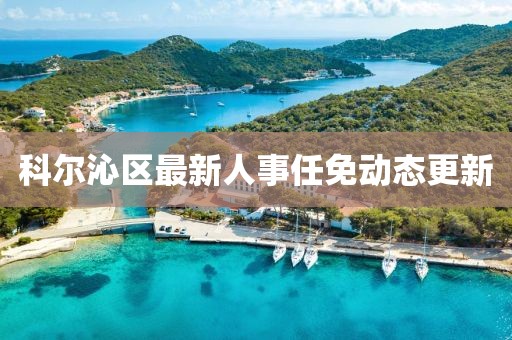 科尔沁区最新人事任免动态更新