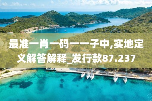 最准一肖一码一一子中,实地定义解答解释_发行款87.237