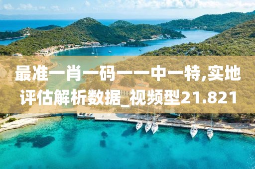 最准一肖一码一一中一特,实地评估解析数据_视频型21.821